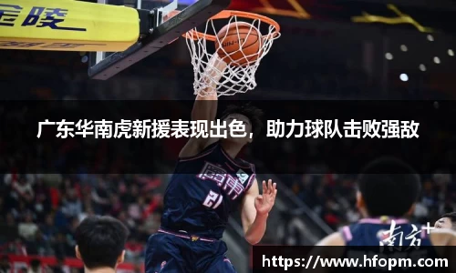 牛竞技